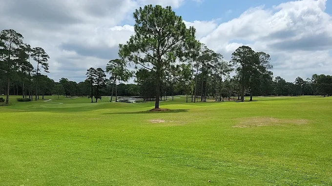 Golf course photo